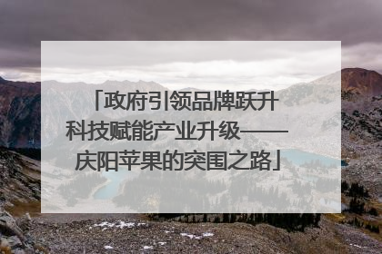 政府引领品牌跃升 科技赋能产业升级——庆阳苹果的突围之路