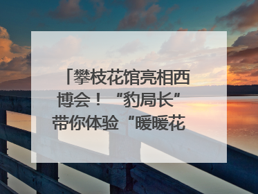 攀枝花馆亮相西博会！“豹局长”带你体验“暖暖花城”独特魅力｜西博视界