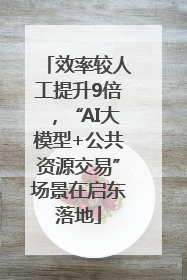 效率较人工提升9倍，“AI大模型+公共资源交易”场景在启东落地
