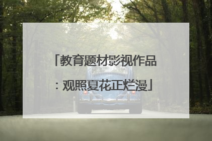 教育题材影视作品：观照夏花正烂漫