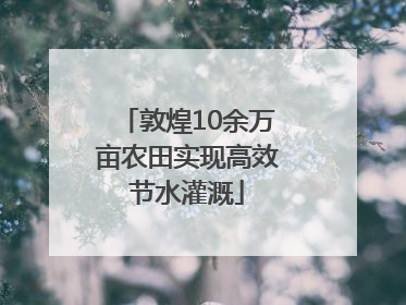 敦煌10余万亩农田实现高效节水灌溉