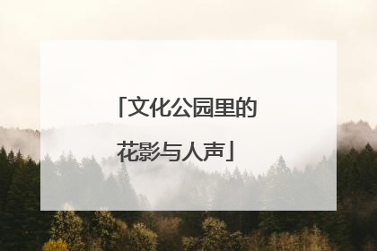 文化公园里的花影与人声