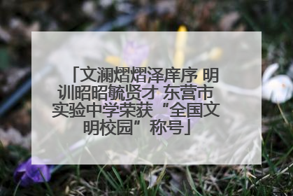 文澜熠熠泽庠序 明训昭昭毓贤才 东营市实验中学荣获“全国文明校园”称号