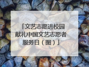 文艺志愿进校园 献礼中国文艺志愿者服务日（图）