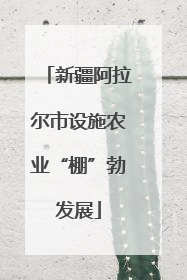 新疆阿拉尔市设施农业“棚”勃发展