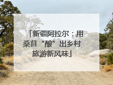 新疆阿拉尔：用桑葚“酿”出乡村旅游新风味
