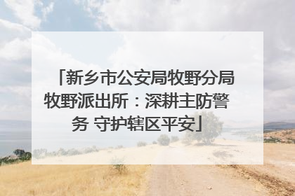 新乡市公安局牧野分局牧野派出所：深耕主防警务 守护辖区平安