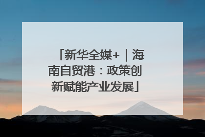 新华全媒+｜海南自贸港：政策创新赋能产业发展
