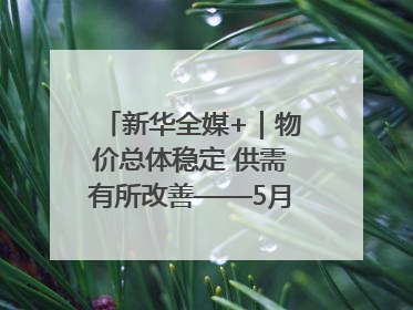 新华全媒+｜物价总体稳定 供需有所改善——5月份物价数据透视
