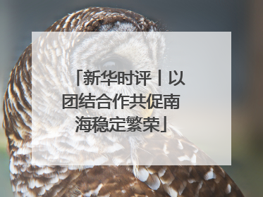 新华时评丨以团结合作共促南海稳定繁荣