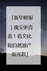 新华鲜报|瑰宝更青春!看文化和自然遗产新光彩