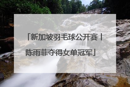新加坡羽毛球公开赛丨陈雨菲夺得女单冠军