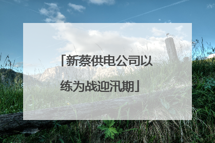 新蔡供电公司以练为战迎汛期