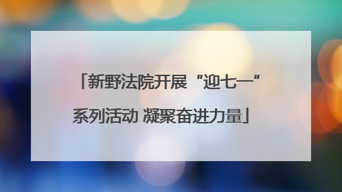新野法院开展“迎七一”系列活动 凝聚奋进力量