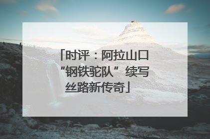 时评：阿拉山口“钢铁驼队”续写丝路新传奇