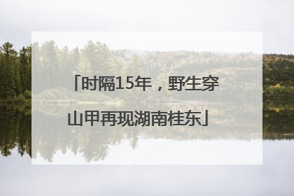 时隔15年，野生穿山甲再现湖南桂东