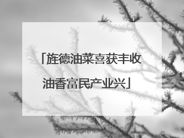 旌德油菜喜获丰收 油香富民产业兴