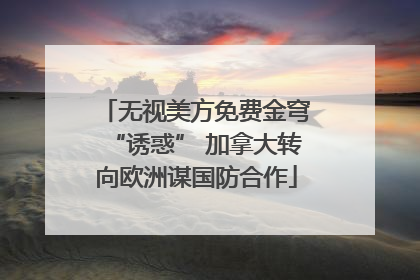 无视美方免费金穹“诱惑” 加拿大转向欧洲谋国防合作