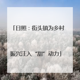 日照：街头镇为乡村振兴注入“甜”动力