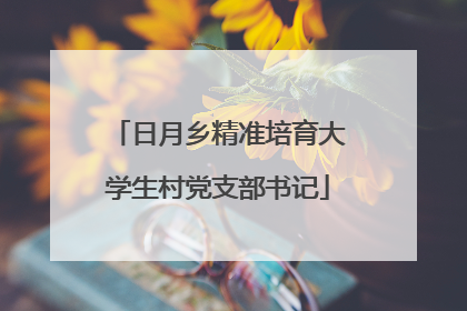 日月乡精准培育大学生村党支部书记