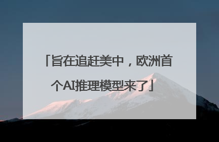 旨在追赶美中，欧洲首个AI推理模型来了