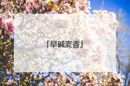 旱碱麦香