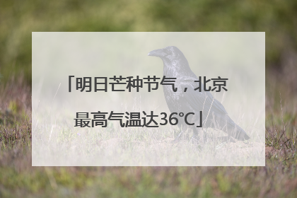明日芒种节气，北京最高气温达36℃