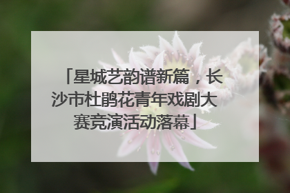星城艺韵谱新篇，长沙市杜鹃花青年戏剧大赛竞演活动落幕