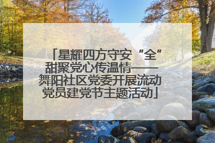 星耀四方守安“全” 甜聚党心传温情——舞阳社区党委开展流动党员建党节主题活动