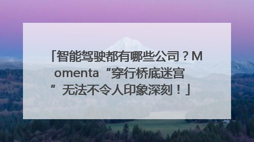 智能驾驶都有哪些公司？Momenta“穿行桥底迷宫”无法不令人印象深刻！