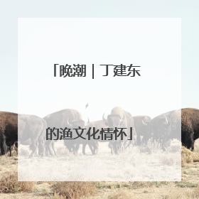 晚潮｜丁建东的渔文化情怀