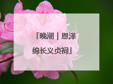 晚潮｜恩泽绵长义贞祠