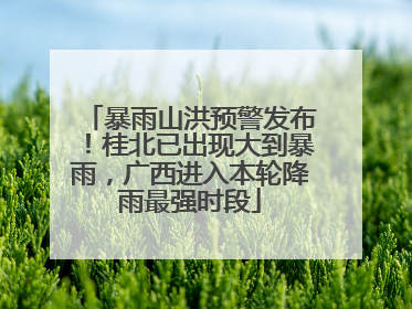 暴雨山洪预警发布！桂北已出现大到暴雨，广西进入本轮降雨最强时段