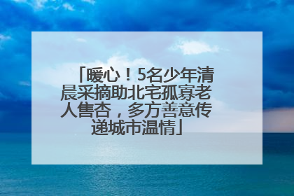 暖心！5名少年清晨采摘助北宅孤寡老人售杏，多方善意传递城市温情
