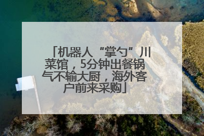 机器人“掌勺”川菜馆，5分钟出餐锅气不输大厨，海外客户前来采购
