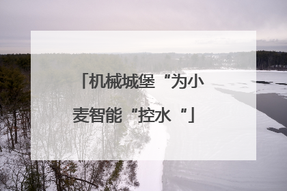 机械城堡“为小麦智能“控水“