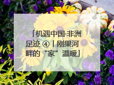机遇中国·非洲足迹 ④丨刚果河畔的“家”温暖