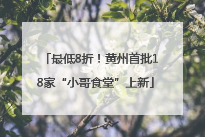 最低8折！黄州首批18家“小哥食堂”上新