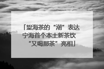 望海茶的“潮”表达 宁海首个本土新茶饮“又喝那茶”亮相