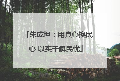 朱成坦：用真心换民心 以实干解民忧