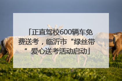 正直驾校600辆车免费送考，临沂市“绿丝带”爱心送考活动启动
