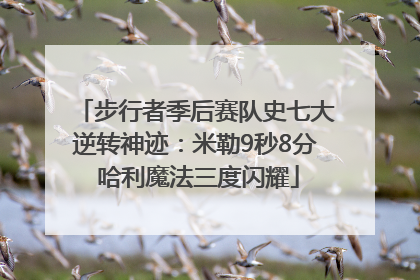 步行者季后赛队史七大逆转神迹：米勒9秒8分 哈利魔法三度闪耀