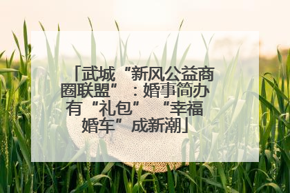 武城“新风公益商圈联盟”：婚事简办有“礼包” “幸福婚车”成新潮