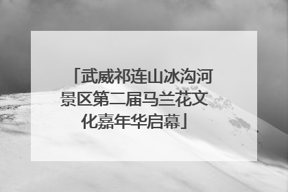 武威祁连山冰沟河景区第二届马兰花文化嘉年华启幕