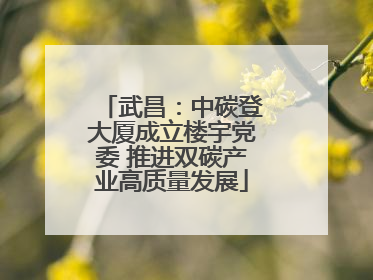 武昌：中碳登大厦成立楼宇党委 推进双碳产业高质量发展