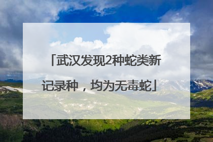武汉发现2种蛇类新记录种，均为无毒蛇