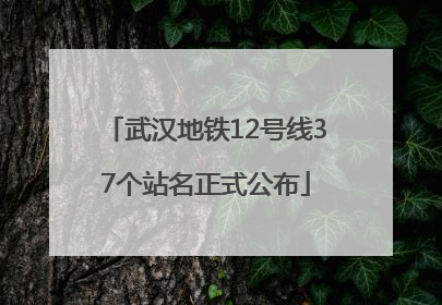 武汉地铁12号线37个站名正式公布