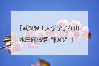 武汉轻工大学学子在山水田间感悟“粮心”
