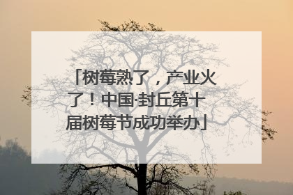 树莓熟了，产业火了！中国·封丘第十届树莓节成功举办