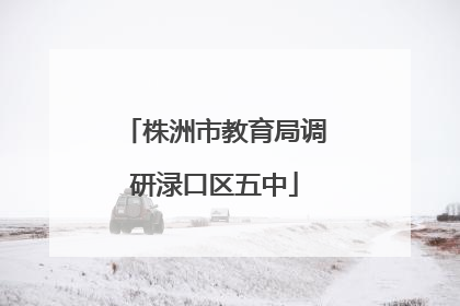 株洲市教育局调研渌口区五中